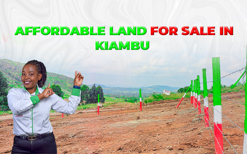 alt="Affordable land for sale in Kiambu"